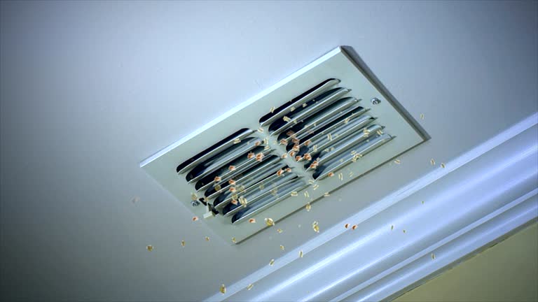 Best Air Duct Cleaning Near Me  in Mikes, TX