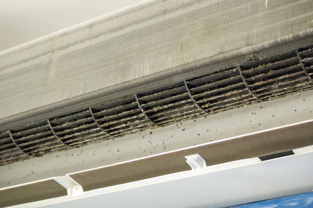 Best Home Air Vent Cleaning  in Mikes, TX