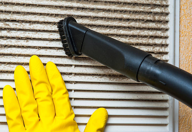 Best Air Vent Cleaning Services  in Mikes, TX